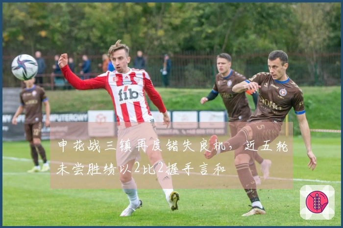 申花战三镇再度错失良机，近五轮未尝胜绩以2比2握手言和